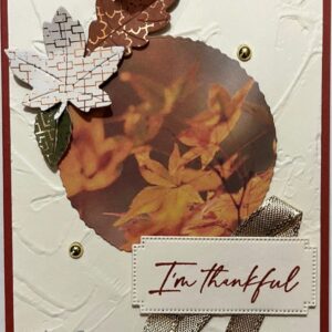 Card Kit 1